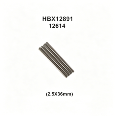 12614 Lower Suspension Hinge Pins for HBX 12891 1/12 RC Car Spare Parts